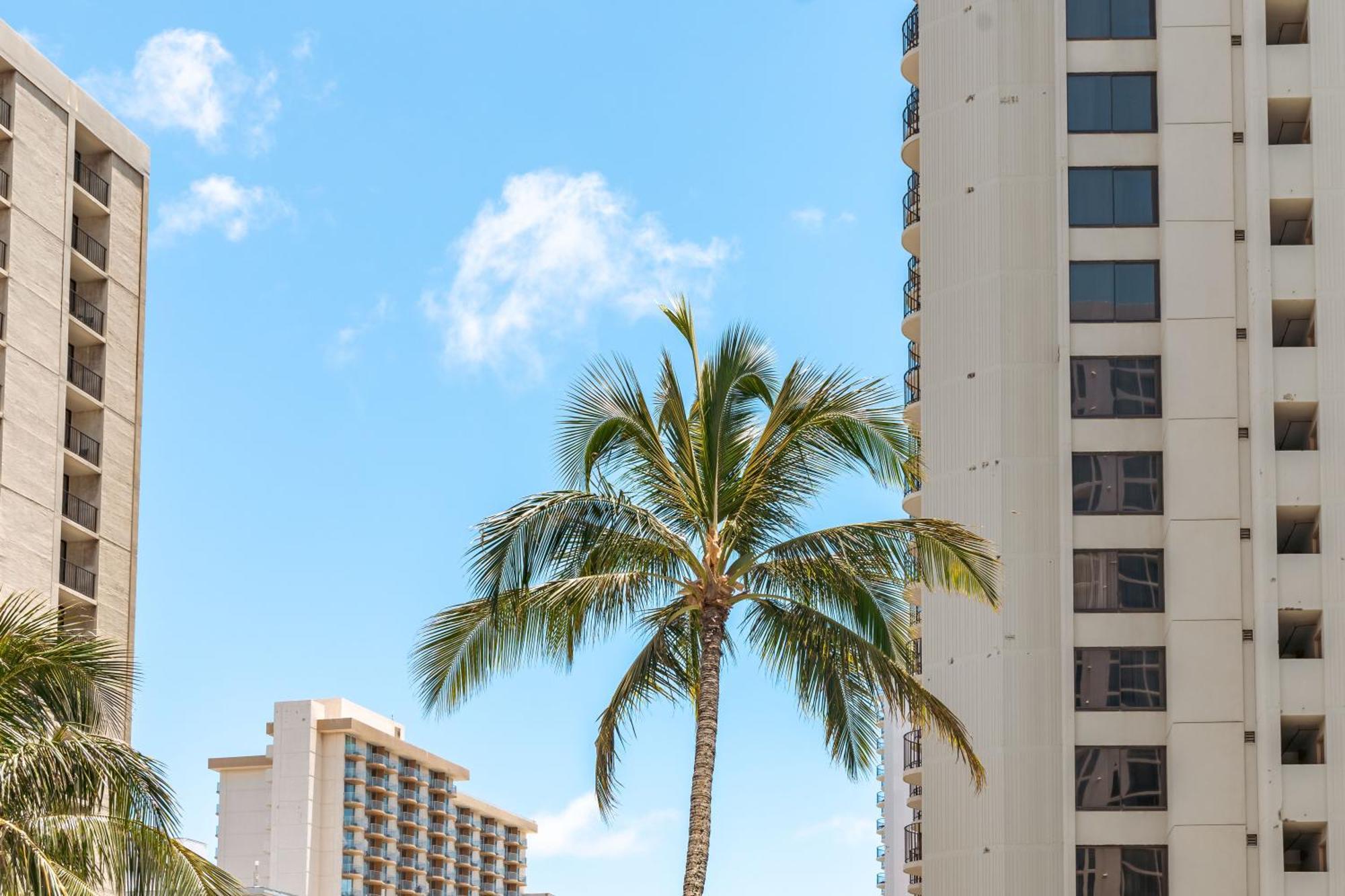 Apartamento Beautiful Ocean And Diamond Head Views With Parking Honolulu Exterior foto